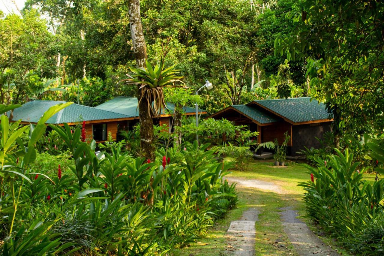 Eden Organic Farm & Bungalows La Fortuna المظهر الخارجي الصورة