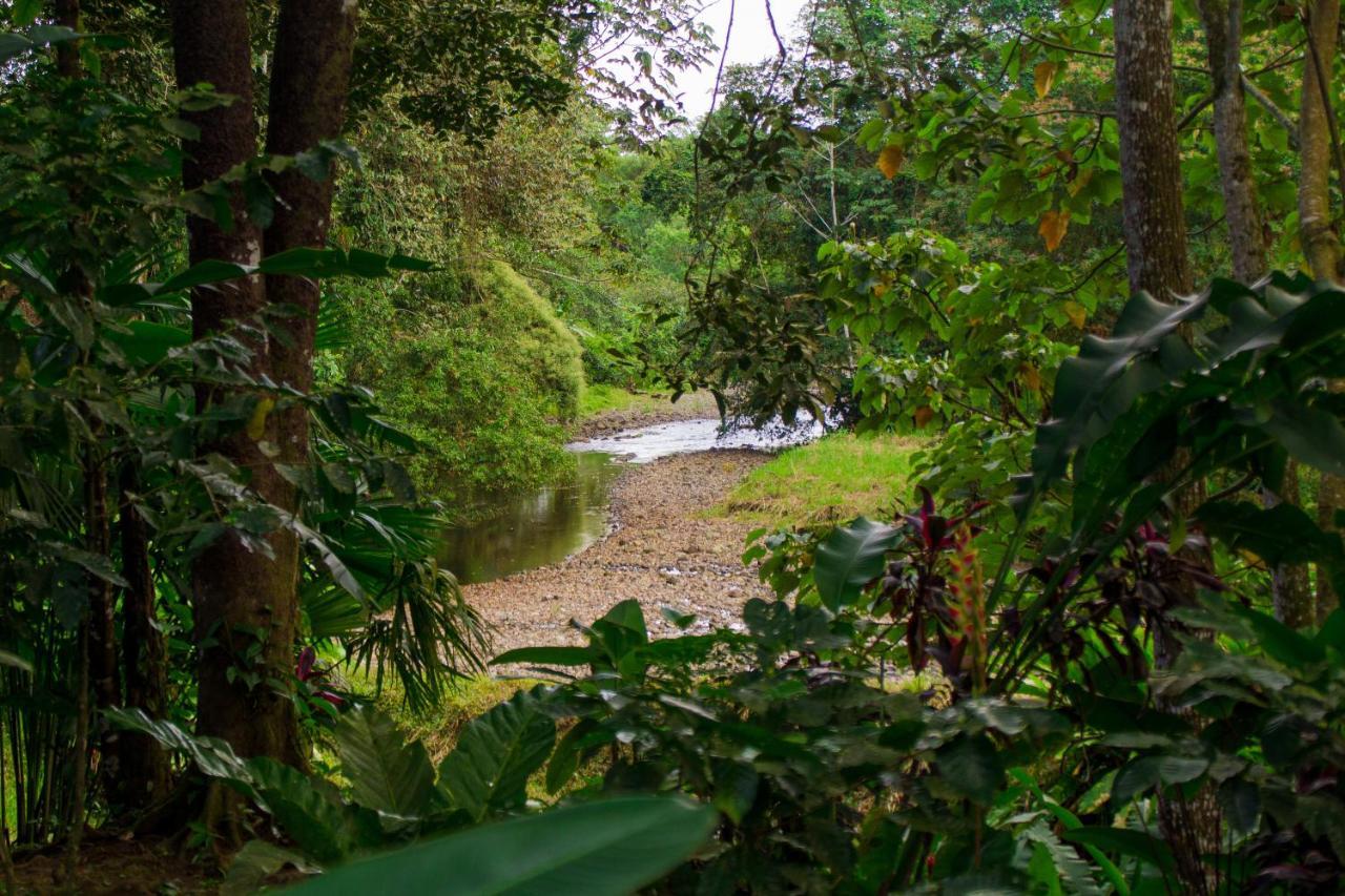Eden Organic Farm & Bungalows La Fortuna المظهر الخارجي الصورة