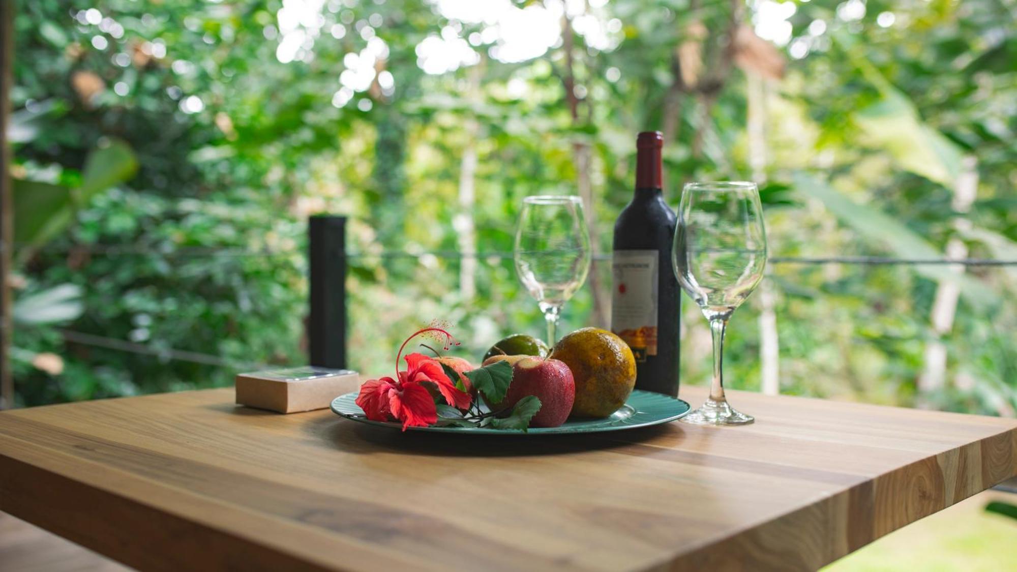 Eden Organic Farm & Bungalows La Fortuna الغرفة الصورة