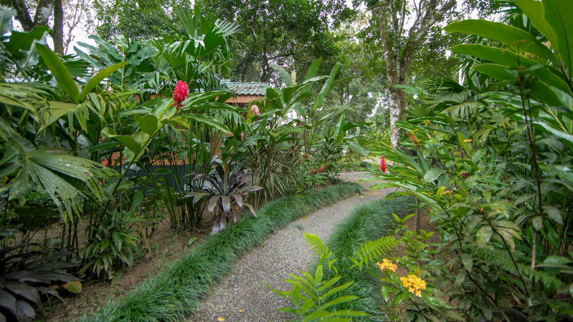 Eden Organic Farm & Bungalows La Fortuna الغرفة الصورة